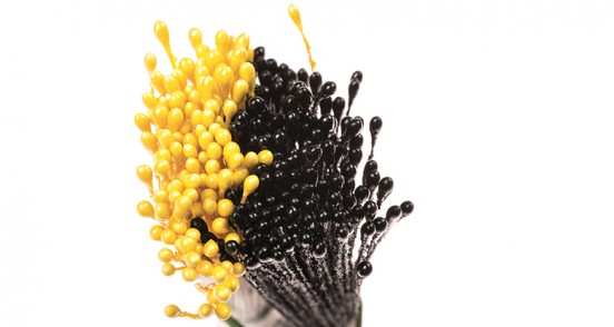  Foto: Pistilli per fiori giallo perlato e nero perlato pz.288